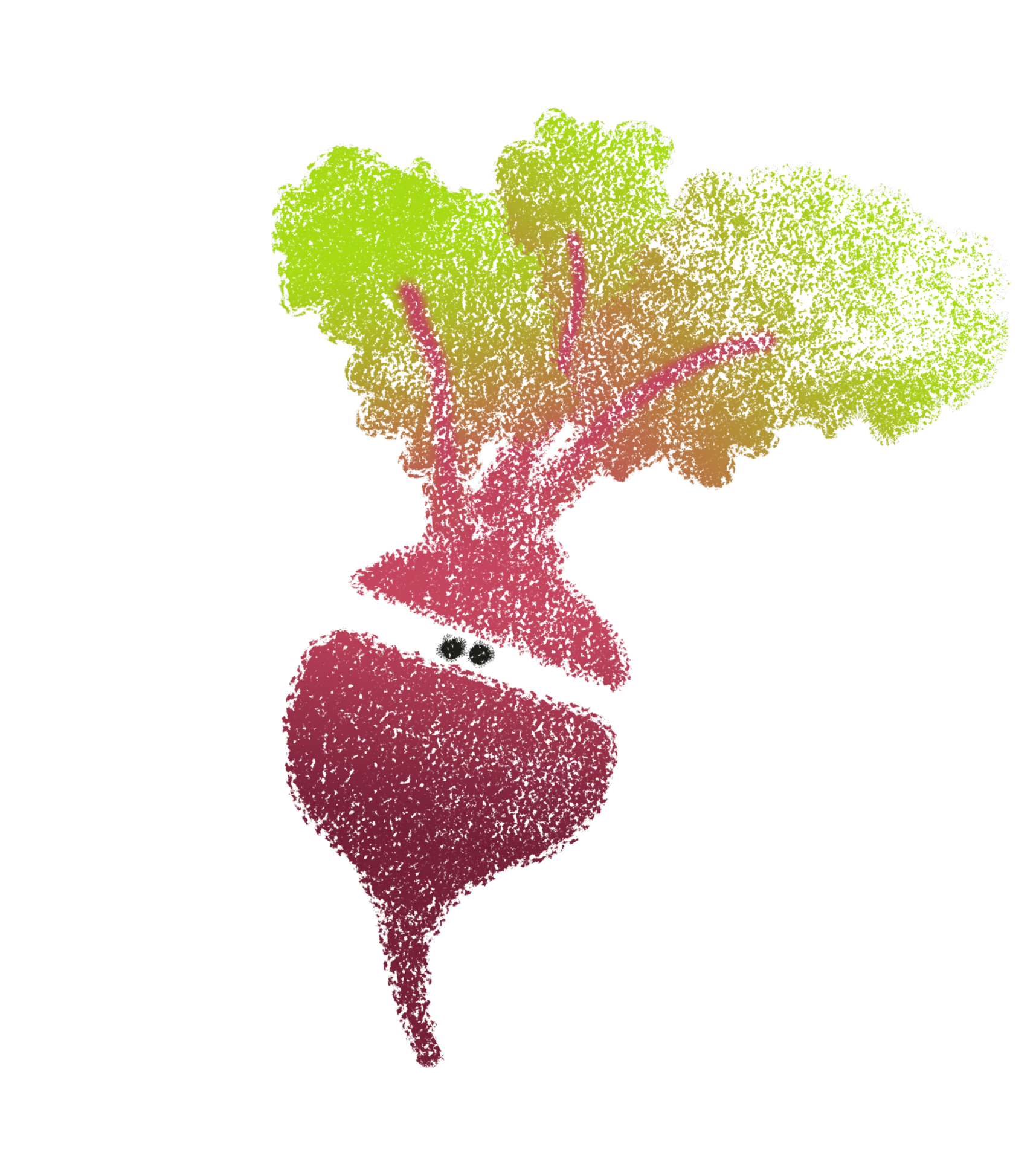 karpa_beetroot (1)